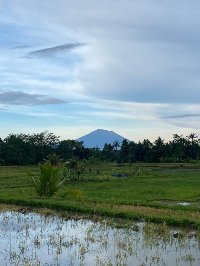 Villa Jepun Ubud Kültér fotó