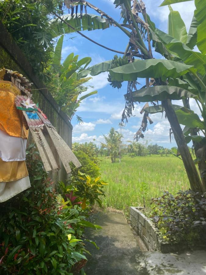 Villa Jepun Ubud Kültér fotó